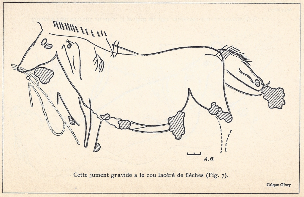 Relevé-jument-gravide